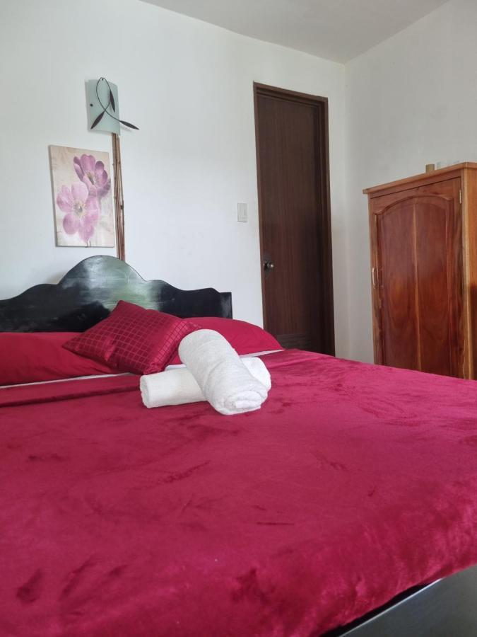 Southpoint Hostel Moalboal Buitenkant foto